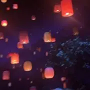 ナガナガ（値下げ受け付けます）の画像
