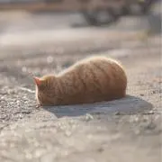 yinaa .の画像