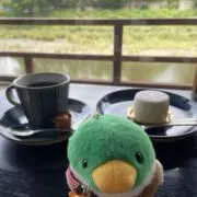 ちょろの画像