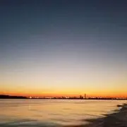 ザズーの画像