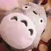 たすたすの画像