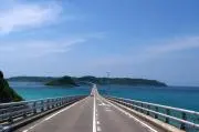 ミキの画像