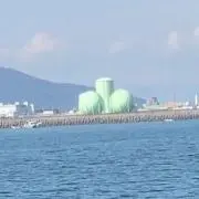シン