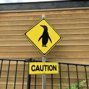 Boooonの画像
