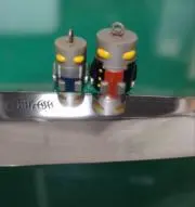 saigousanの画像