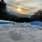 RX.tの画像