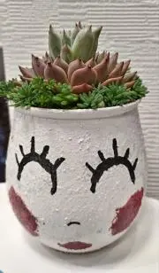 ドリコの画像