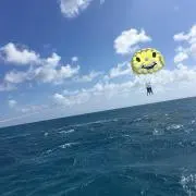 ✳︎R S✳︎プロフ必読の画像