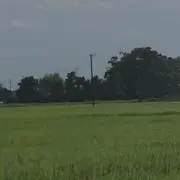 KOUDAI