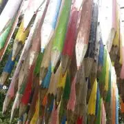 GMSの画像