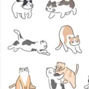 ねこ@即購入可♡の画像