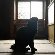 はるを