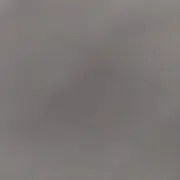 花丸の画像