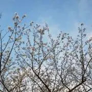mの画像