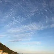 むーちょんの画像