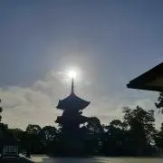こうやさん