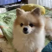 marukoの画像