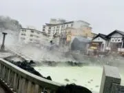 きの画像