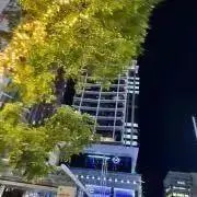 めろたの画像