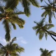 mahalo5787の画像