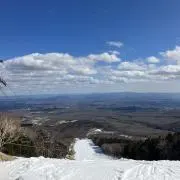 52の画像
