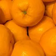 みかんの画像