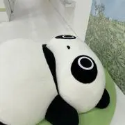 e.の画像