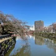 ユミの画像
