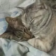 さゆみ
