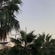 RINの画像