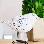 Snow16の画像