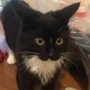あごみんの画像