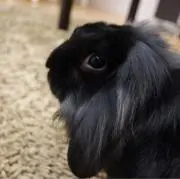 ナカム