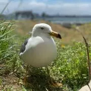 ひろきの画像