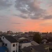yさんの画像