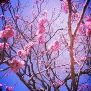 香夜(購入意思のないいいね不要)