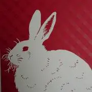 赤兎の画像