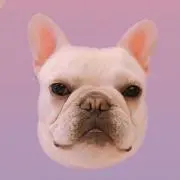 サボテンくんの画像