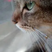 hrの画像