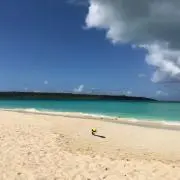 スマイルの画像