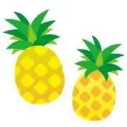 ぷっぷの画像