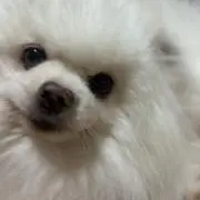 りの画像