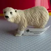 そじゆしあの画像