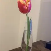 さき
