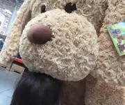 ☆みっち☆プロフ読んで欲しいですの画像