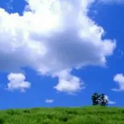 kotiの画像