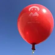 chihijun