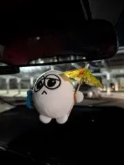 ジディーの画像