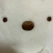 海の画像