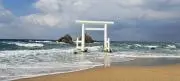 断捨離真只中の画像